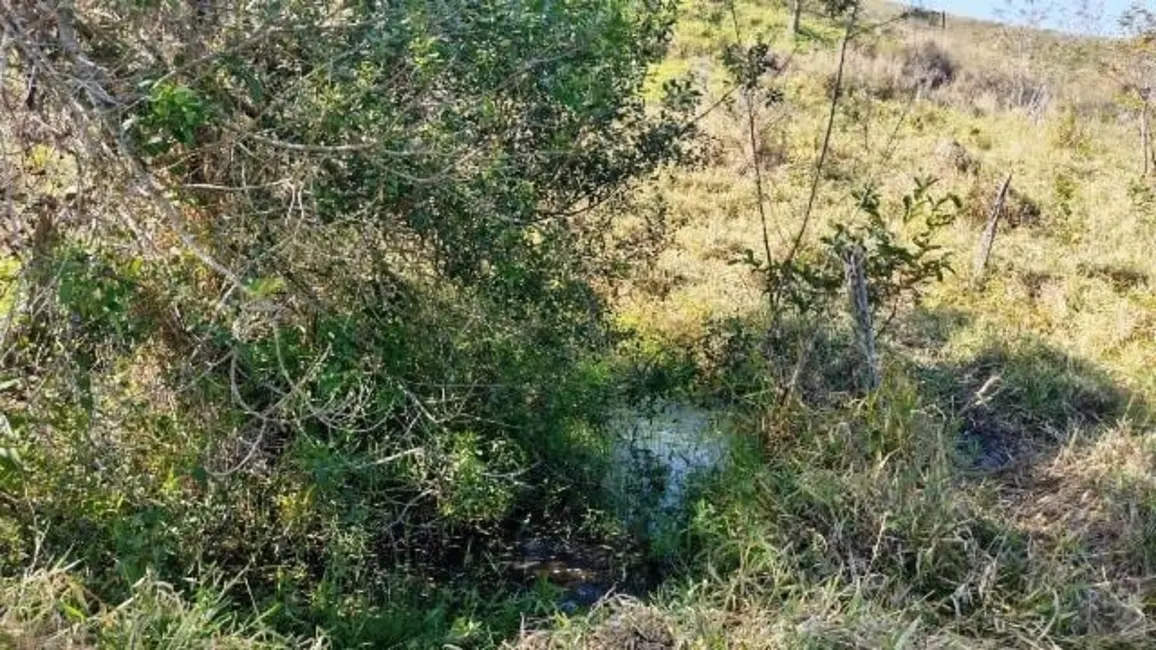 Foto 9 de Chácara com 1 quarto à venda, 12850m2 em Borba, Pindamonhangaba - SP