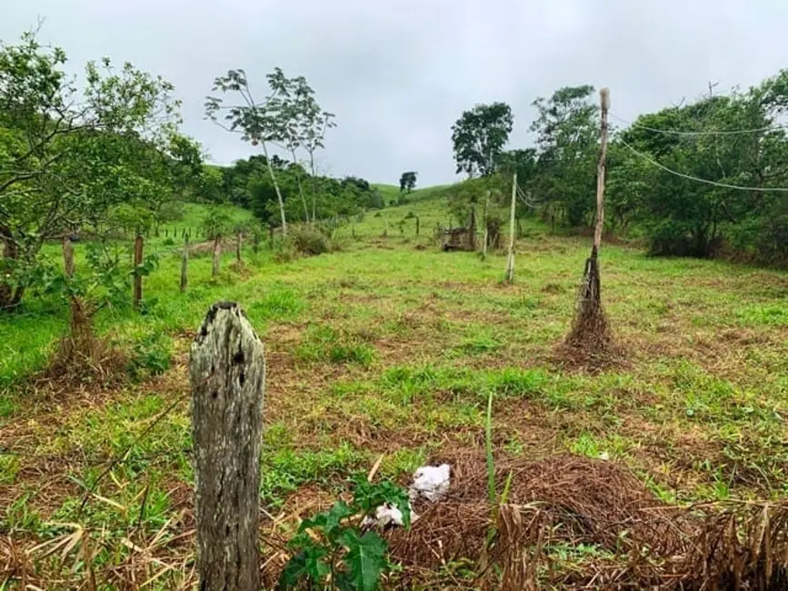 Foto 1 de Chácara com 1 quarto à venda, 12850m2 em Borba, Pindamonhangaba - SP