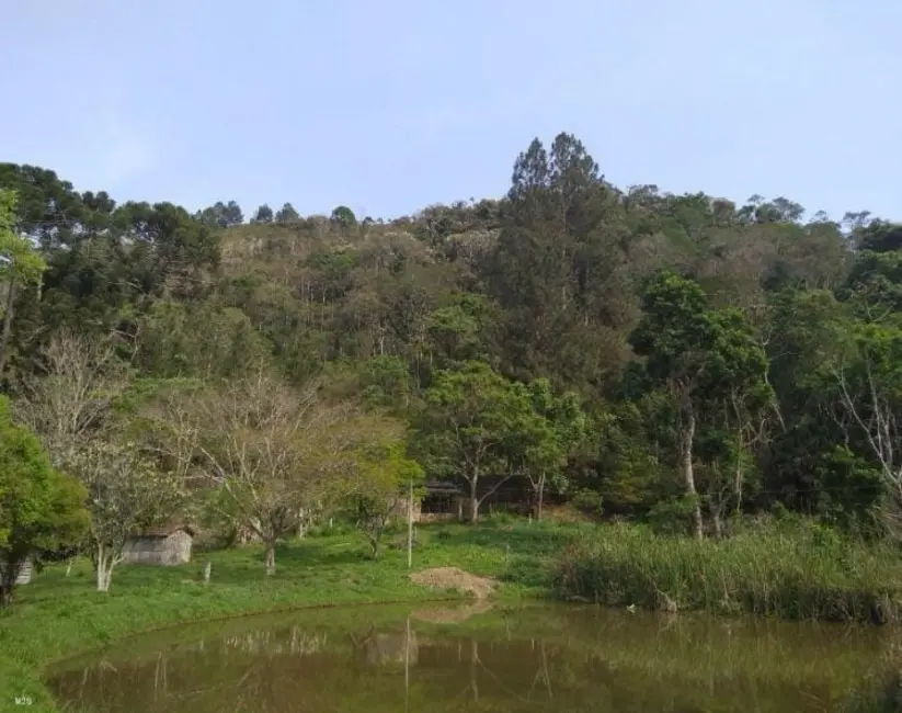 Foto 1 de Chácara com 3 quartos à venda, 120m2 em Cunha - SP