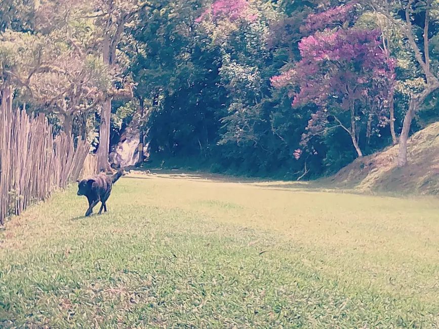Foto 8 de Sala Comercial com 5 quartos à venda, 400m2 em Taubate - SP