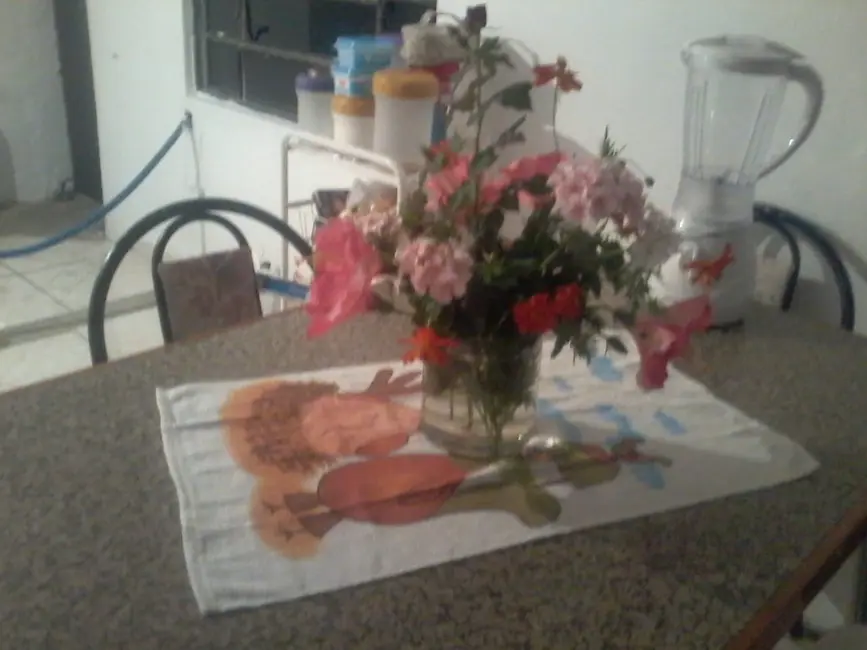 Foto 4 de Casa com 1 quarto à venda, 150m2 em Chácaras Reunidas Brasil, Taubate - SP