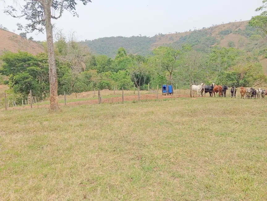 Foto 5 de Fazenda / Haras com 1 quarto à venda, 16777215m2 em Roseira - SP