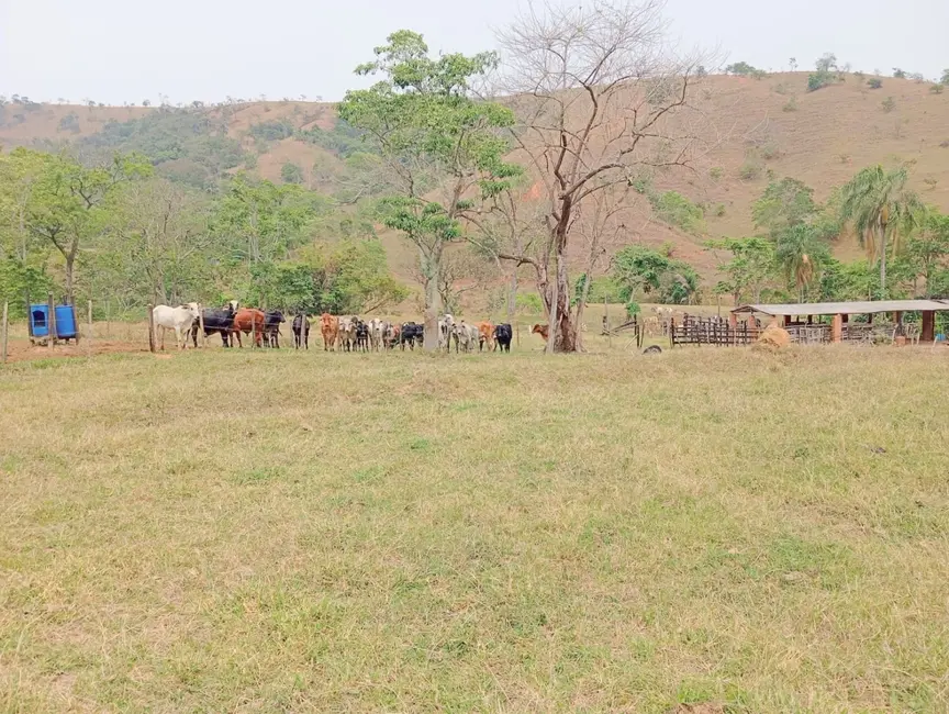 Foto 2 de Fazenda / Haras com 1 quarto à venda, 16777215m2 em Roseira - SP