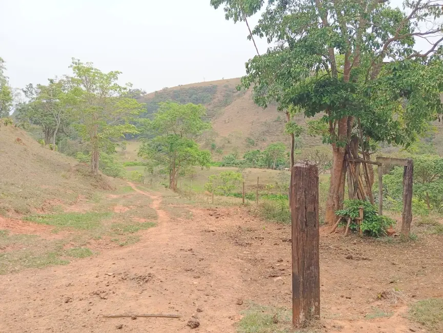 Foto 4 de Fazenda / Haras com 1 quarto à venda, 16777215m2 em Roseira - SP