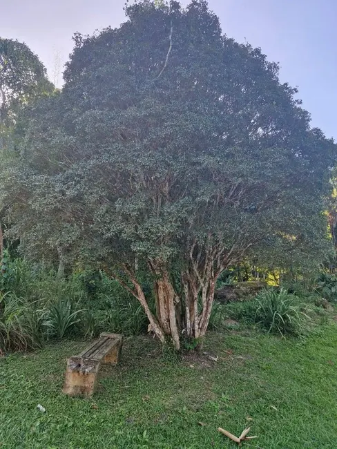 Foto 1 de Sítio / Rancho com 4 quartos para alugar, 20000m2 em Ribeirão Grande, Pindamonhangaba - SP