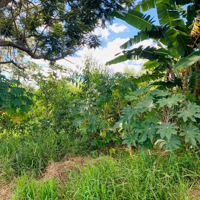 Foto 1 de Terreno / Lote à venda, 250m2 em Vitória Vale II, Pindamonhangaba - SP