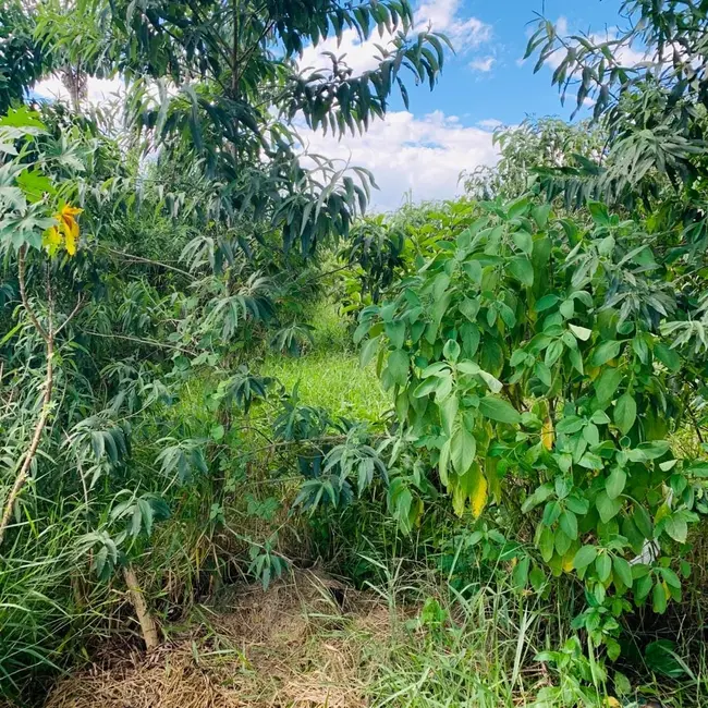 Foto 1 de Terreno / Lote à venda, 250m2 em Vitória Vale II, Pindamonhangaba - SP