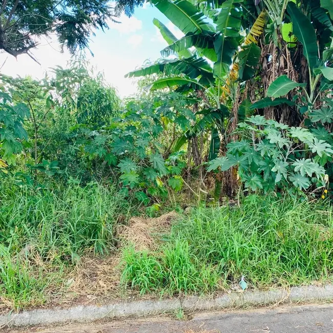 Foto 3 de Terreno / Lote à venda, 250m2 em Vitória Vale II, Pindamonhangaba - SP
