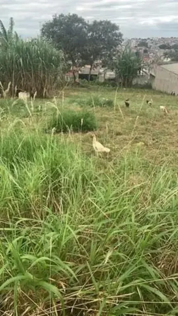 Foto 2 de Terreno / Lote à venda, 137m2 em São Gonçalo, Taubate - SP