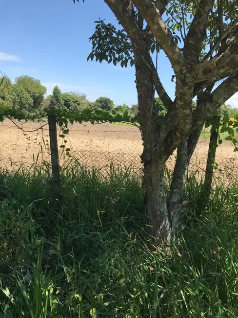 Foto 3 de Terreno / Lote à venda, 2000m2 em Roseira - SP