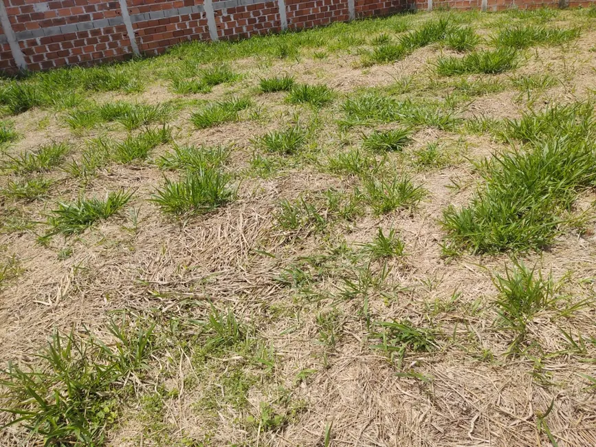 Foto 5 de Terreno / Lote com 3 quartos à venda, 720m2 em Jardim Residencial Doutor Lessa, Pindamonhangaba - SP