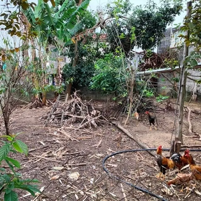 Foto 7 de Terreno / Lote à venda, 250m2 em Pindamonhangaba - SP