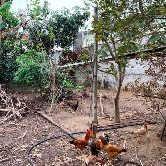 Foto 8 de Terreno / Lote à venda, 250m2 em Pindamonhangaba - SP