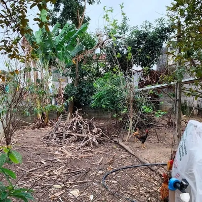 Foto 4 de Terreno / Lote à venda, 250m2 em Pindamonhangaba - SP