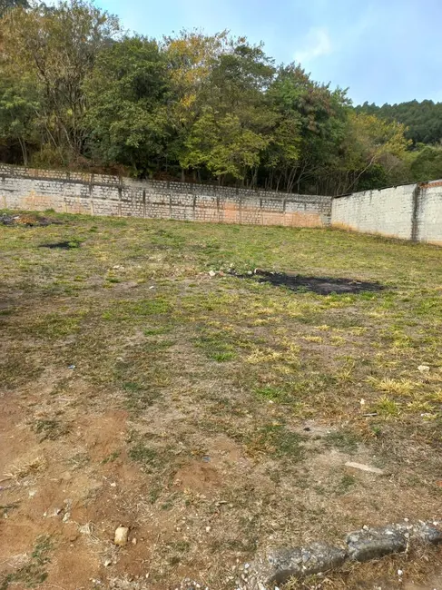 Foto 8 de Terreno / Lote à venda, 242m2 em Aparecida - SP