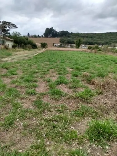 Foto 4 de Terreno / Lote à venda, 1000m2 em Granjas Rurais Reunidas São Judas Tadeu, Taubate - SP