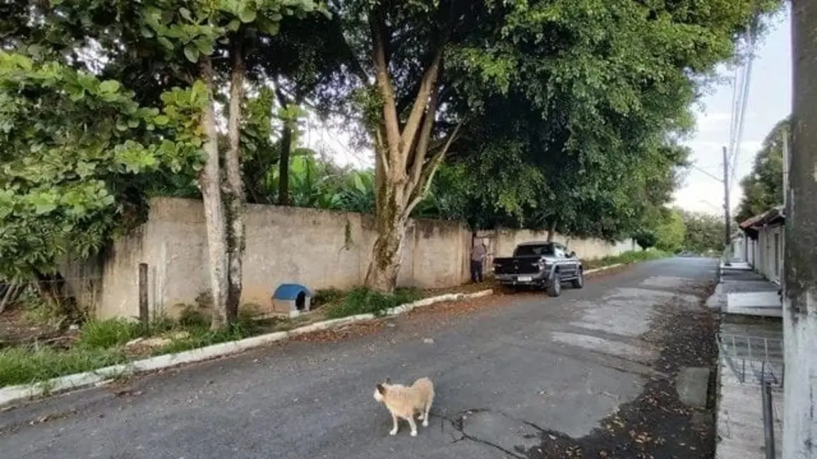 Foto 4 de Terreno / Lote à venda, 250m2 em Roseira - SP