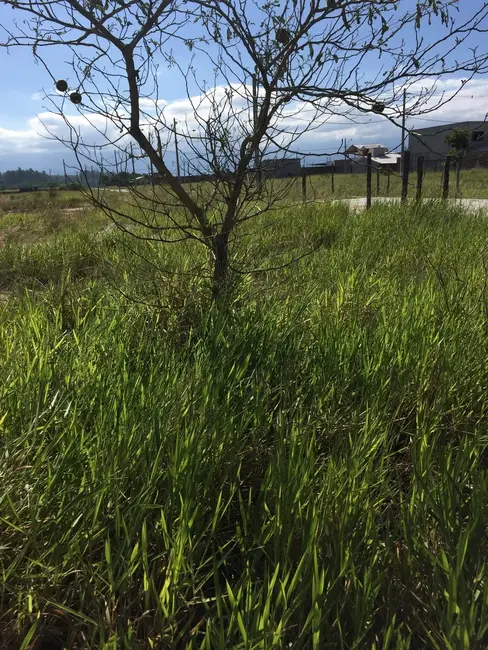 Foto 6 de Terreno / Lote à venda, 225m2 em Moreira César, Pindamonhangaba - SP