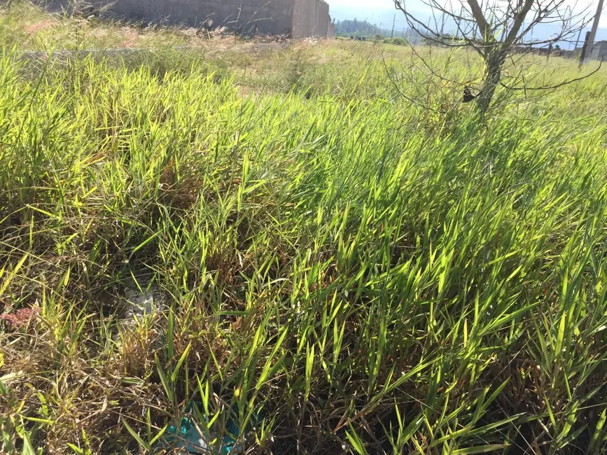 Foto 4 de Terreno / Lote à venda, 225m2 em Moreira César, Pindamonhangaba - SP