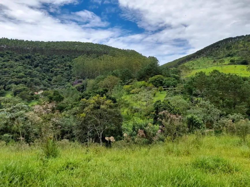 Foto 5 de Terreno / Lote à venda, 6000m2 em Mandú, Pindamonhangaba - SP