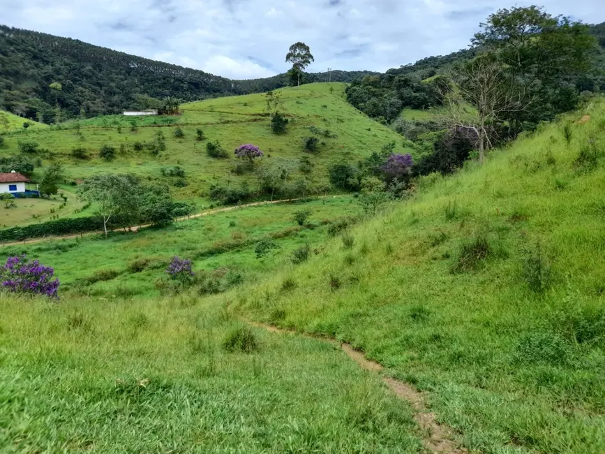 Foto 6 de Terreno / Lote à venda, 6000m2 em Mandú, Pindamonhangaba - SP