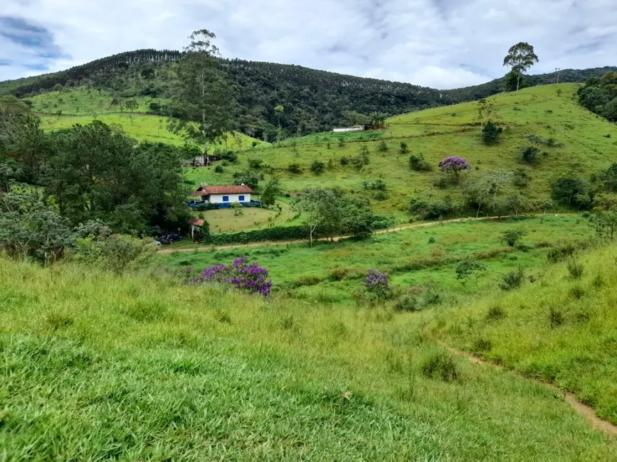 Foto 3 de Terreno / Lote à venda, 6000m2 em Mandú, Pindamonhangaba - SP