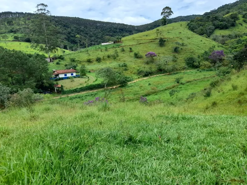 Foto 7 de Terreno / Lote à venda, 6000m2 em Mandú, Pindamonhangaba - SP