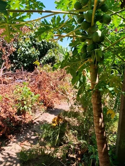 Foto 1 de Terreno / Lote à venda, 330m2 em Cidade Nova, Pindamonhangaba - SP