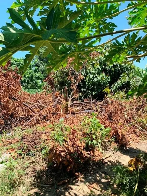 Foto 4 de Terreno / Lote à venda, 330m2 em Cidade Nova, Pindamonhangaba - SP