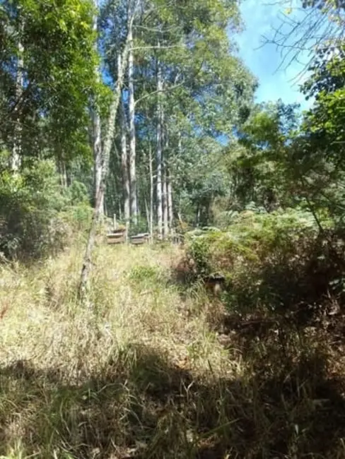 Foto 1 de Terreno / Lote à venda, 1200m2 em Centro, Mairipora - SP