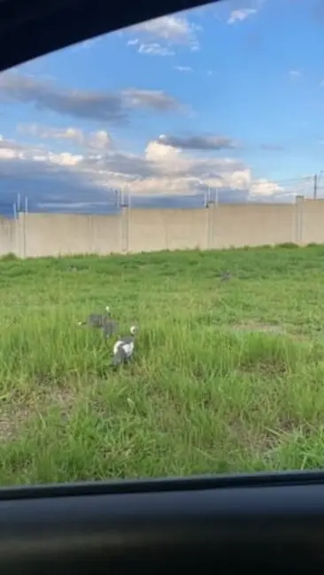 Foto 2 de Lote de Condomínio à venda, 275m2 em Taubate - SP