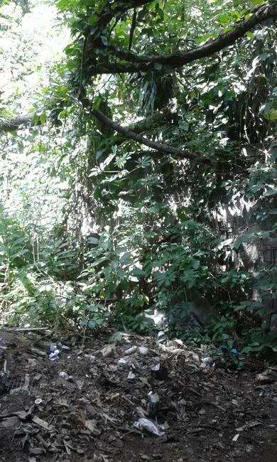 Terreno / Lote à venda, 1579m2 em Aparecida - SP - imagem 4 Foto 4 de Terreno / Lote à venda, 1579m2 em Aparecida - SP