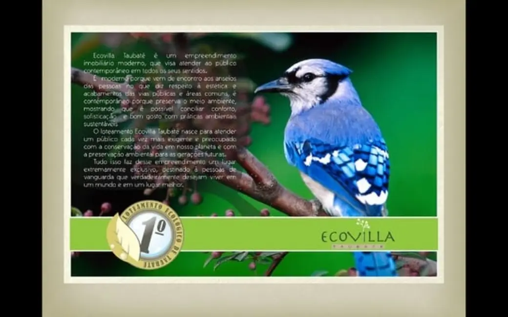 Foto 6 de Lote de Condomínio à venda, 312m2 em Chácaras Cataguá, Taubate - SP