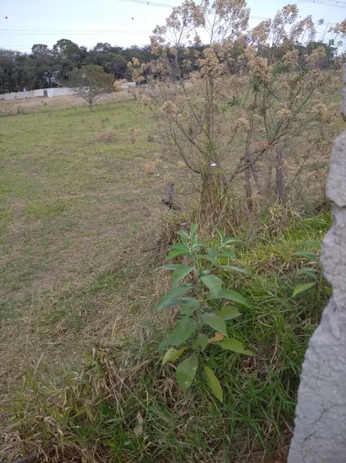 Foto 5 de Terreno / Lote à venda, 5000m2 em São Gonçalo, Taubate - SP