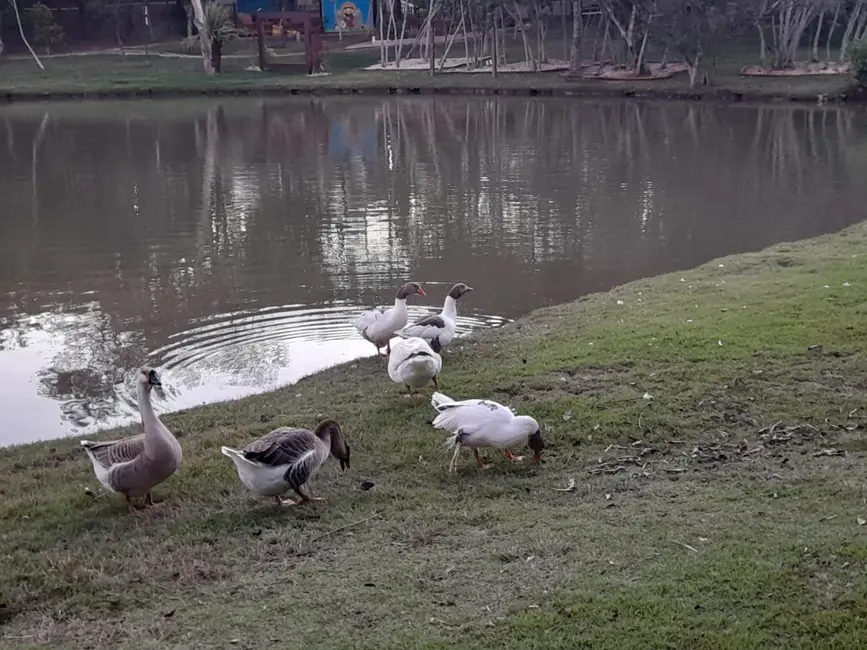 Lote de Condomínio à venda, 480m2 em Alto do Cardoso, Pindamonhangaba - SP - imagem 3 Foto 3 de Lote de Condomínio à venda, 480m2 em Alto do Cardoso, Pindamonhangaba - SP