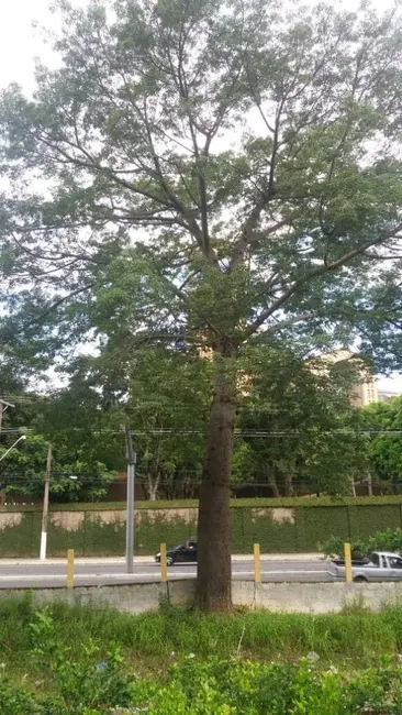 Foto 6 de Terreno / Lote à venda, 2180m2 em Aparecida - SP