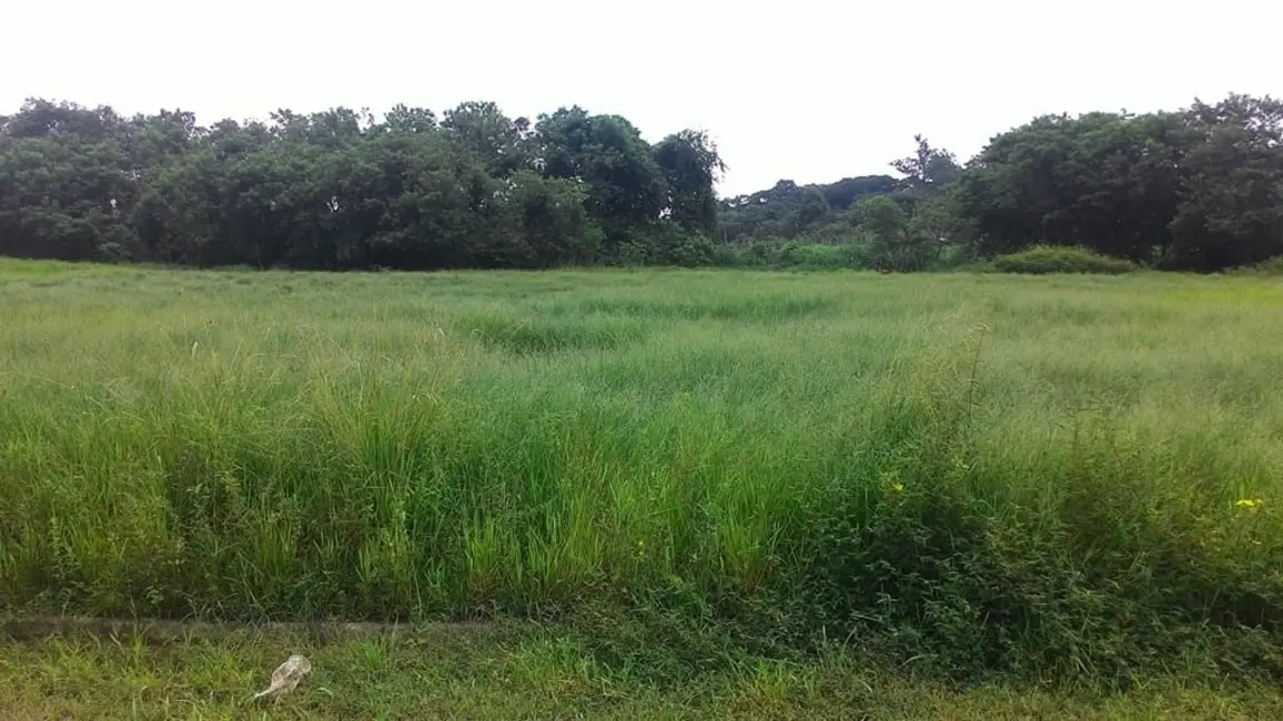 Foto 3 de Terreno / Lote à venda, 296m2 em Parque São Domingos, Pindamonhangaba - SP