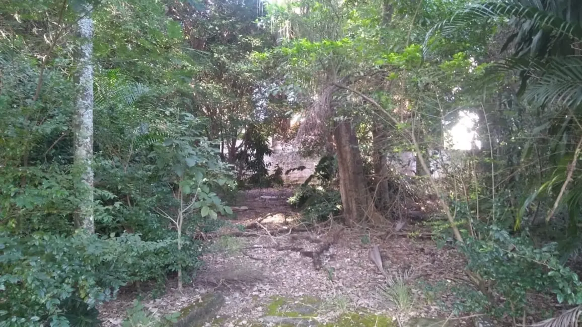 Foto 7 de Terreno / Lote à venda, 3200m2 em Pindamonhangaba - SP