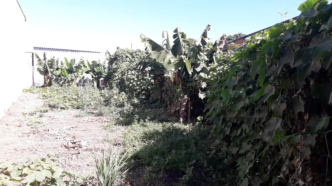 Foto 1 de Terreno / Lote à venda, 300m2 em Jardim Regina, Pindamonhangaba - SP