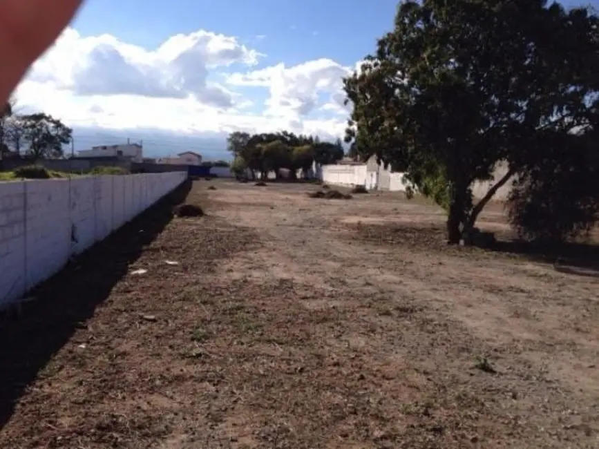 Foto 5 de Terreno / Lote à venda, 5000m2 em Crispim, Pindamonhangaba - SP