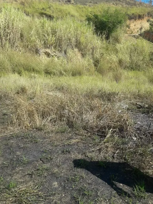 Foto 2 de Terreno / Lote à venda, 250m2 em Aparecida - SP
