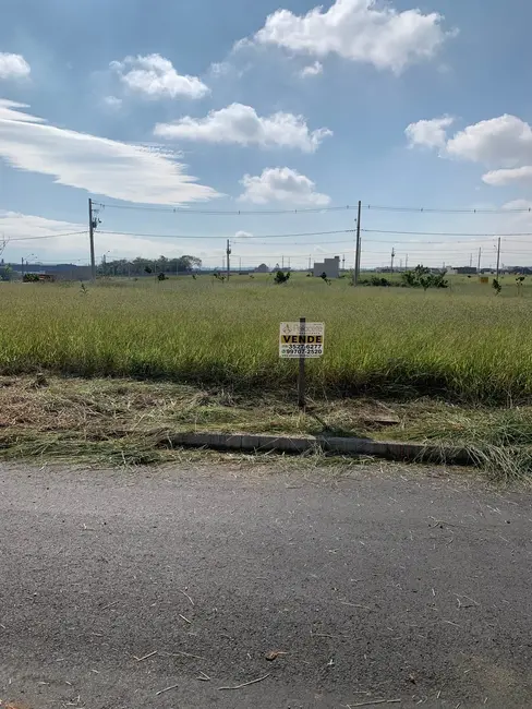 Foto 3 de Lote de Condomínio à venda, 175m2 em Pindamonhangaba - SP