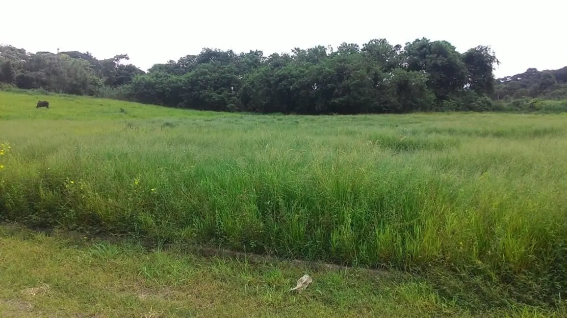 Foto 1 de Terreno / Lote à venda, 296m2 em Parque São Domingos, Pindamonhangaba - SP