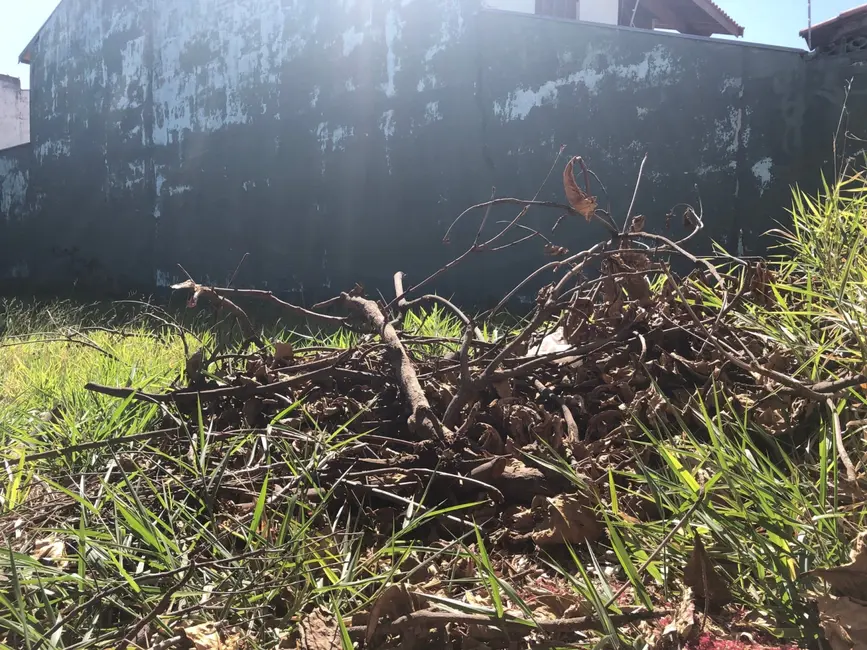 Foto 2 de Terreno / Lote à venda e para alugar, 250m2 em Residencial e Comercial Portal dos Eucaliptos, Pindamonhangaba - SP