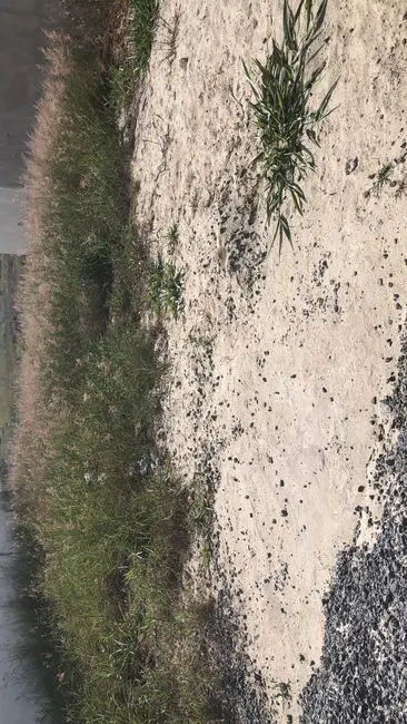 Foto 5 de Terreno / Lote à venda e para alugar, 250m2 em Residencial e Comercial Portal dos Eucaliptos, Pindamonhangaba - SP