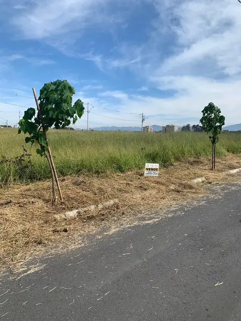 Foto 5 de Lote de Condomínio à venda, 175m2 em Pindamonhangaba - SP