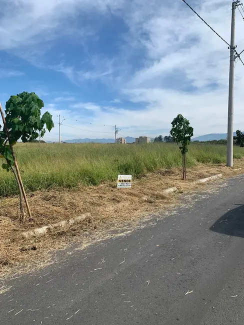 Foto 6 de Lote de Condomínio à venda, 175m2 em Pindamonhangaba - SP