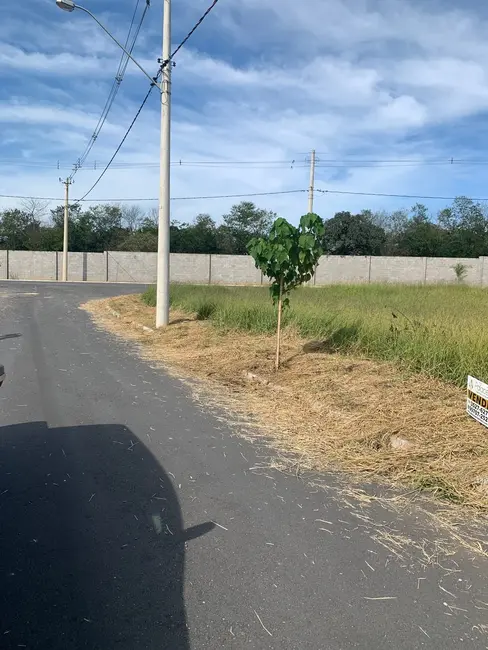 Foto 7 de Lote de Condomínio à venda, 175m2 em Pindamonhangaba - SP