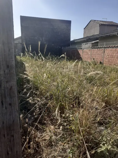 Foto 5 de Terreno / Lote à venda, 250m2 em Pindamonhangaba - SP