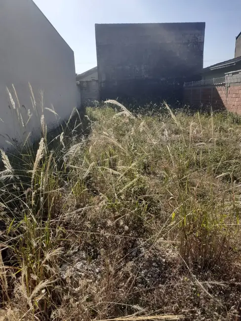 Foto 1 de Terreno / Lote à venda, 250m2 em Pindamonhangaba - SP